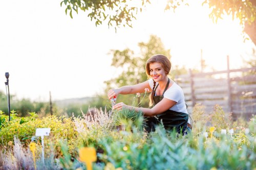 Healthy green lawn care in Lower Morden garden