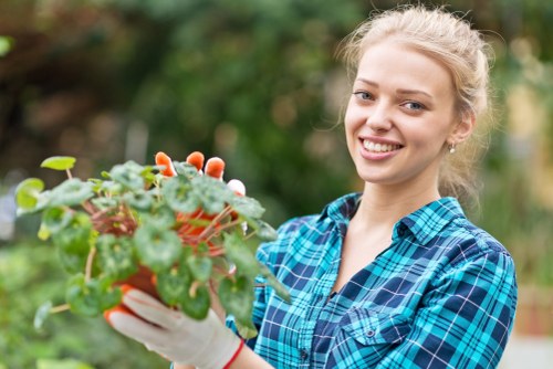 Illustration of a gardening complaint being reviewed