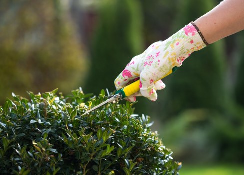 Gardening service terms introduction with booking and payment conditions