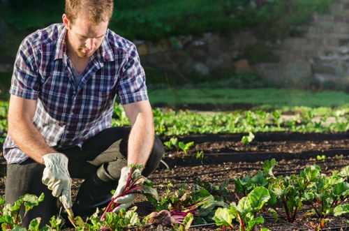 Professional gardening services in Lower Morden for tidy lawns and borders