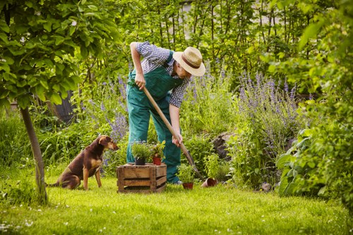 Gardeners Lower Morden team working safely in a residential garden