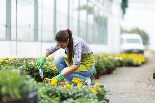 Gardening services improving a residential garden in Lower Morden