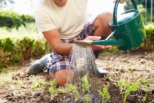Safe tree care and pruning services in Lower Morden