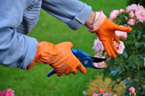 Gardeners Lower Morden improving a tidy suburban garden