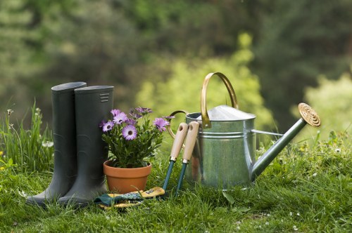 Regular mowing and feeding for Lower Morden lawns