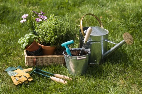 Seasonal planting and shrub care for Lower Morden outdoor spaces