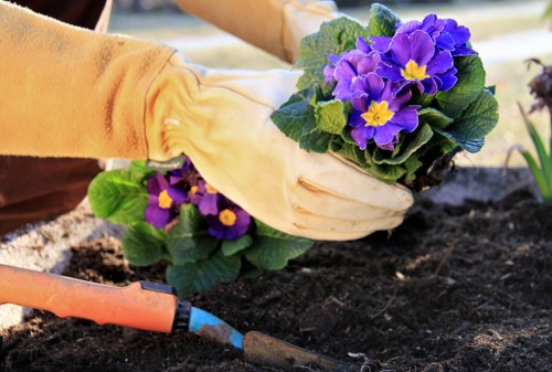 Transparent pricing and quotes for local garden maintenance