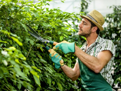 Lower Morden gardening team pruning shrubs and caring for plants