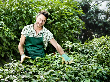 Customer concern recorded for garden maintenance work