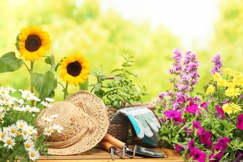 Professional lawn care and garden tidying in Lower Morden