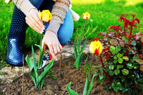 About us Gardeners Lower Morden providing careful outdoor space maintenance
