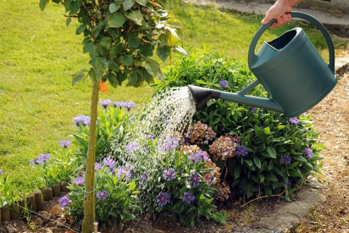 Removing green waste and debris during garden clearance Lower Morden