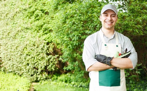 Seasonal garden maintenance in Lower Morden with lawn and plant care