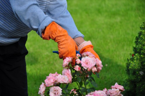 Professional garden maintenance in Lower Morden for a vibrant outdoor space