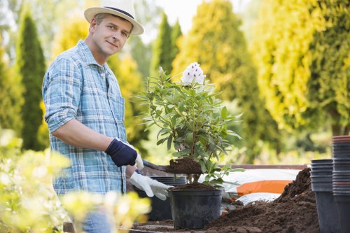 Garden hedge shaping and maintenance in Lower Morden