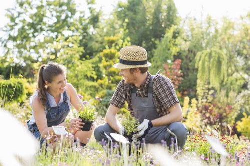 Professional gardeners in Lower Morden improving lawn and border care