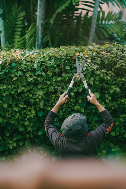 Avoid hidden charges with local Lower Morden gardeners