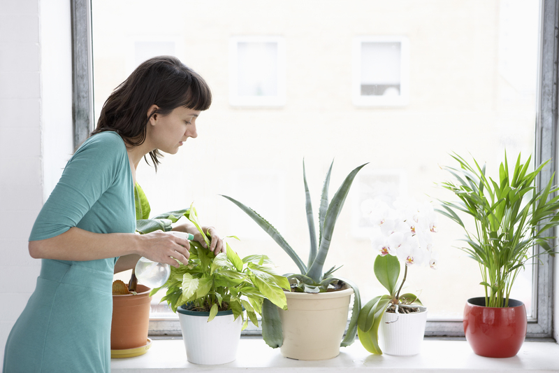 Garden property