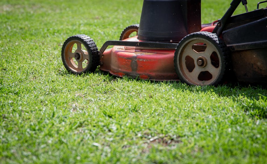 A man wearing glasses, a dark hoodie, and blue jeans is engaged in garden maintenance in a residential backyard. He is using an electric grass trimmer to cut the lush, green lawn, which has patches of